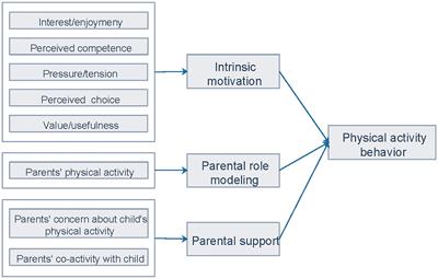 Physical activity maintenance and increase in Chinese children and adolescents: the role of intrinsic motivation and parental support